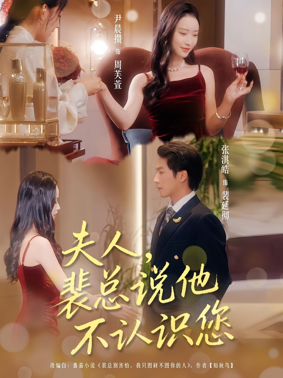 夫人，裴总说他不认识您 都市情感·总裁·全75集 尹晨攒&张淇皓&武珝