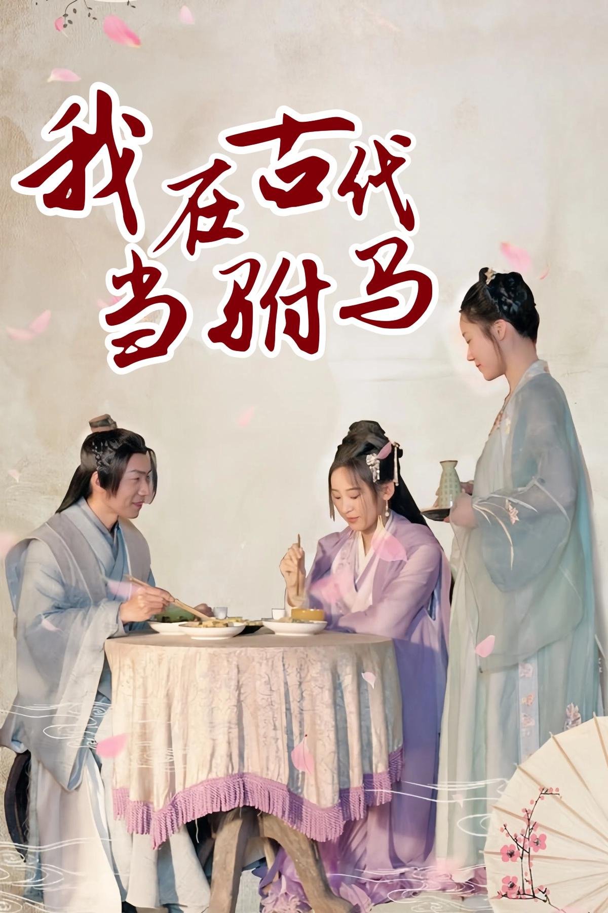 我在古代当驸马