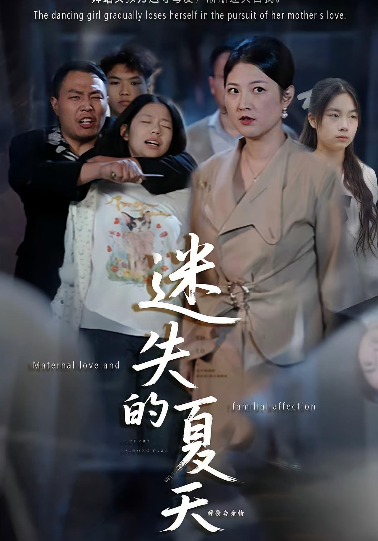 迷失的夏天 家庭伦理·都市·全50集 李彪