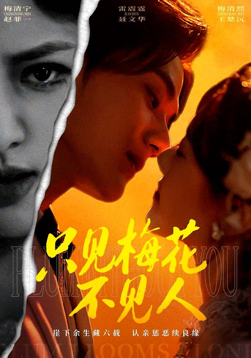 只见梅花不见人 民国爱情·少帅·全63集 聂文华&王楚沅