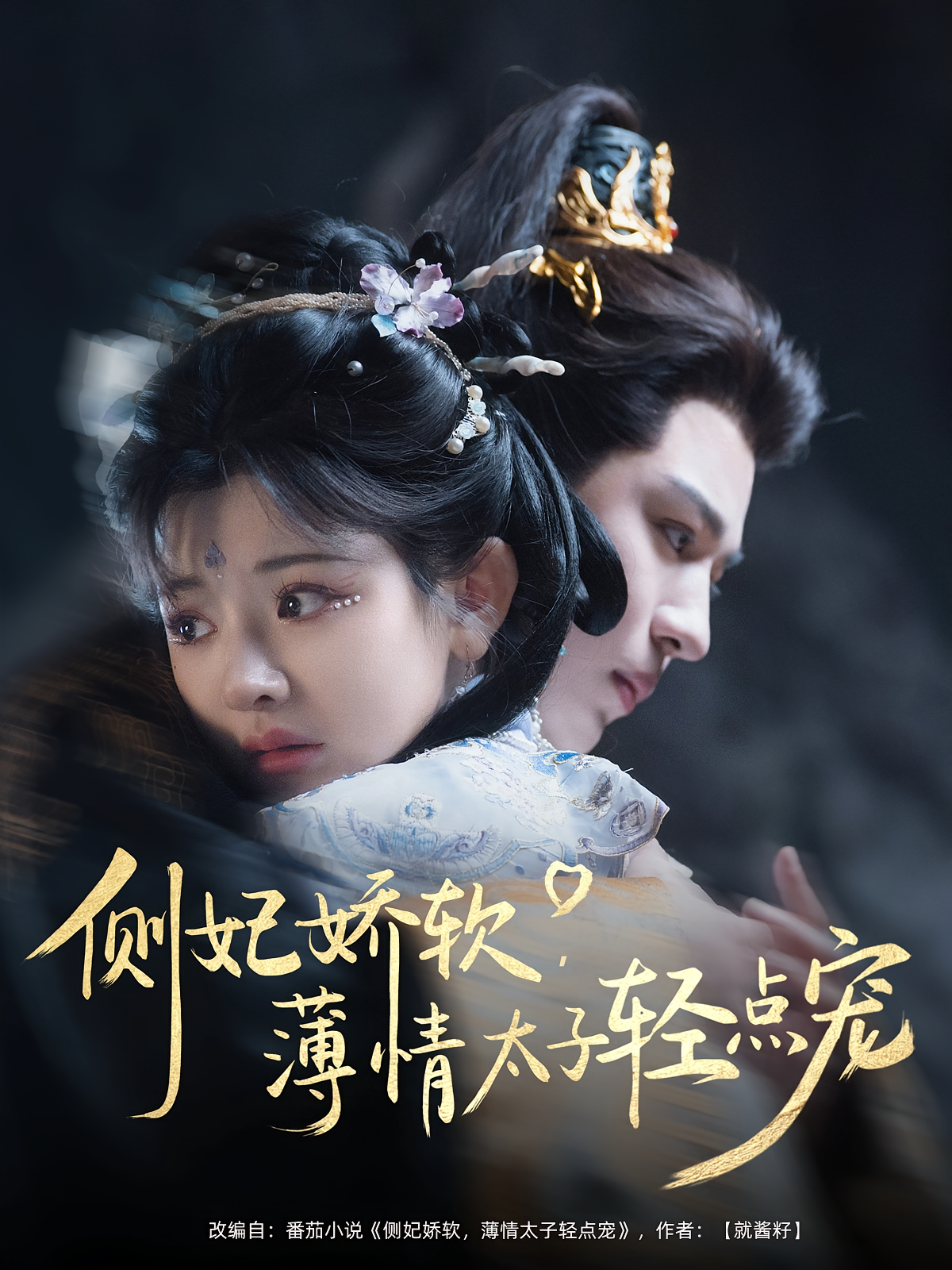 侧妃娇软，薄情太子轻点宠 古风言情·王妃·全80集 蒙恩&冷巴&王棣墨