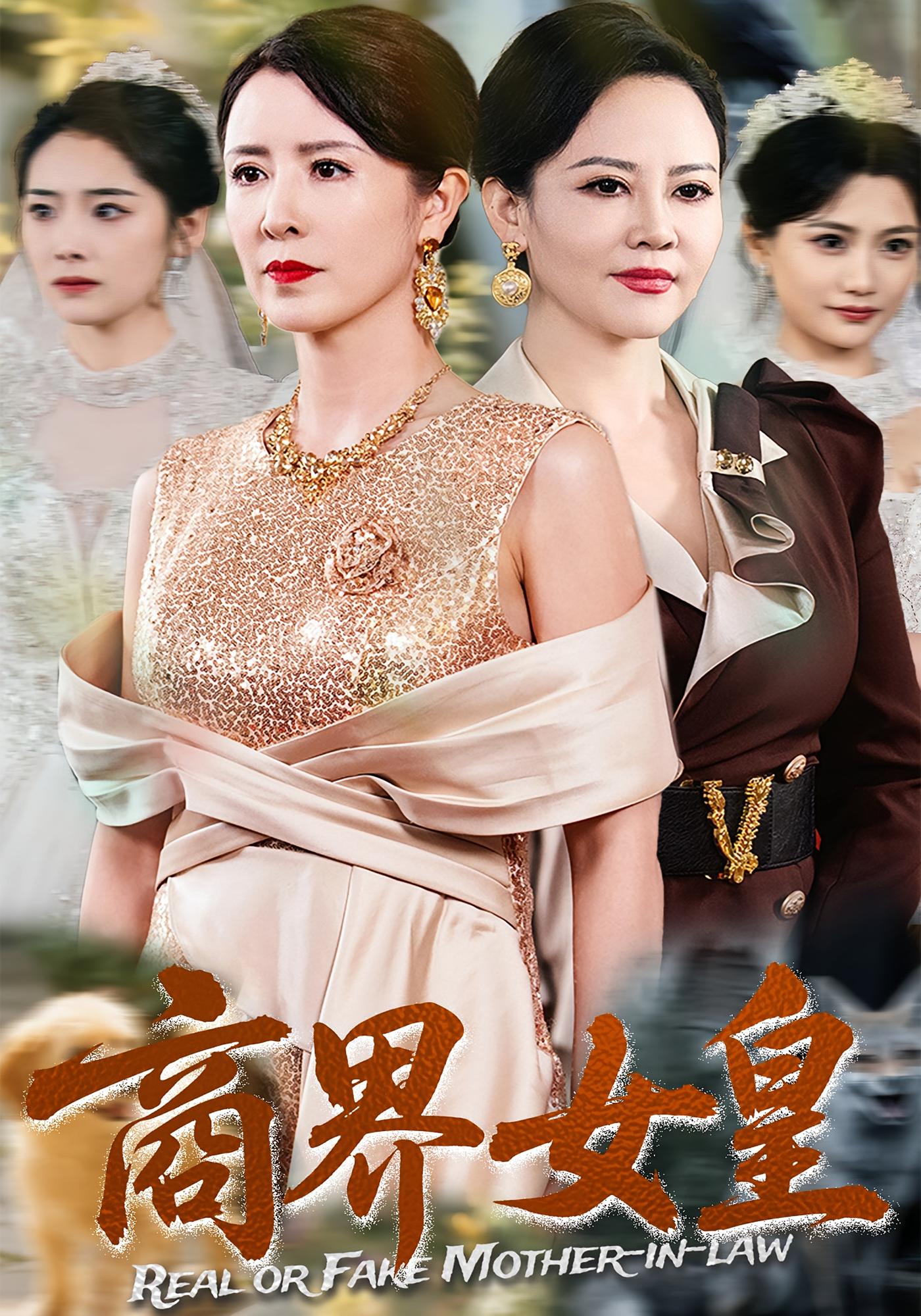 商界女皇 打脸虐渣·马甲·全70集 刘美希&金大钟&刘永红