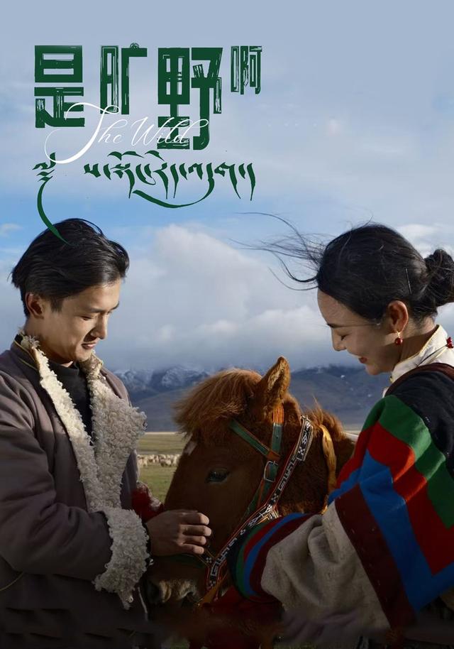 是旷野啊封面图
