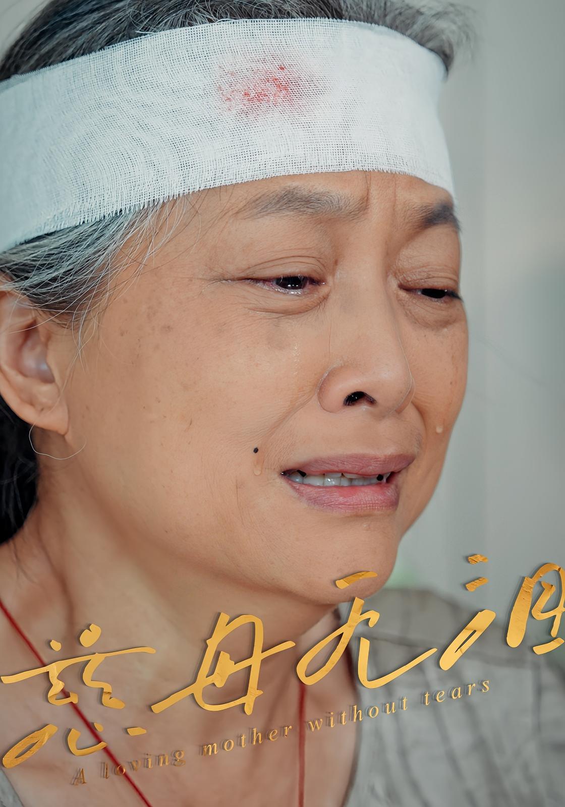 慈母无泪 家庭伦理·都市·全30集 王大博&黄晓蕾