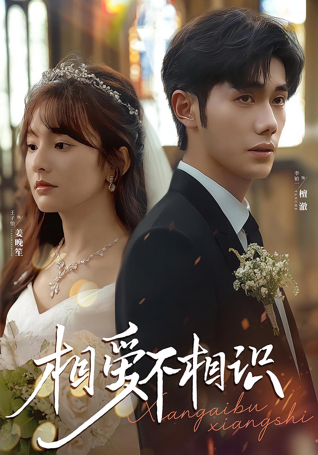 相爱不相识 现代言情·总裁·全67集 王子怡&李铂一