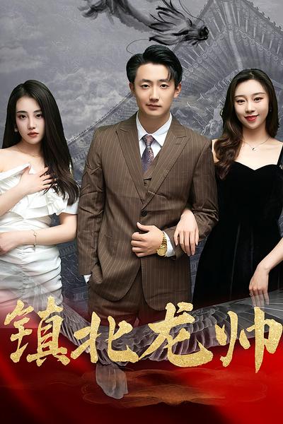 镇北龙帅封面图