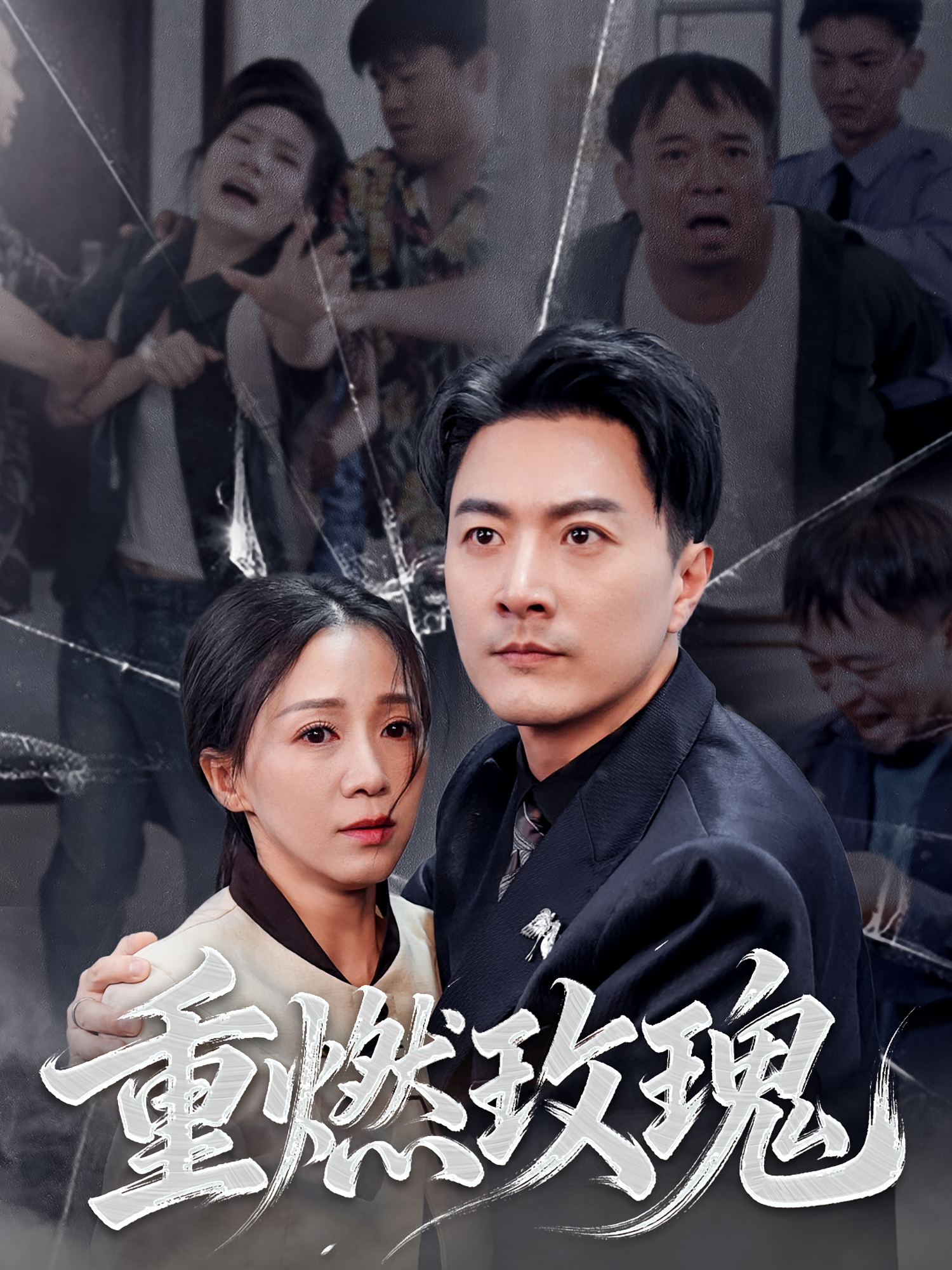 重燃玫瑰 都市日常·都市·全59集 鞠瑾&樊磊