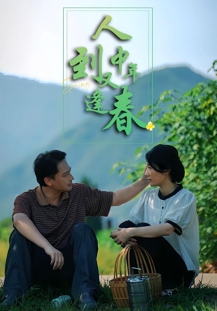 人到中年又逢春 家庭伦理·女强·全61集 谢海燕&张梓俊