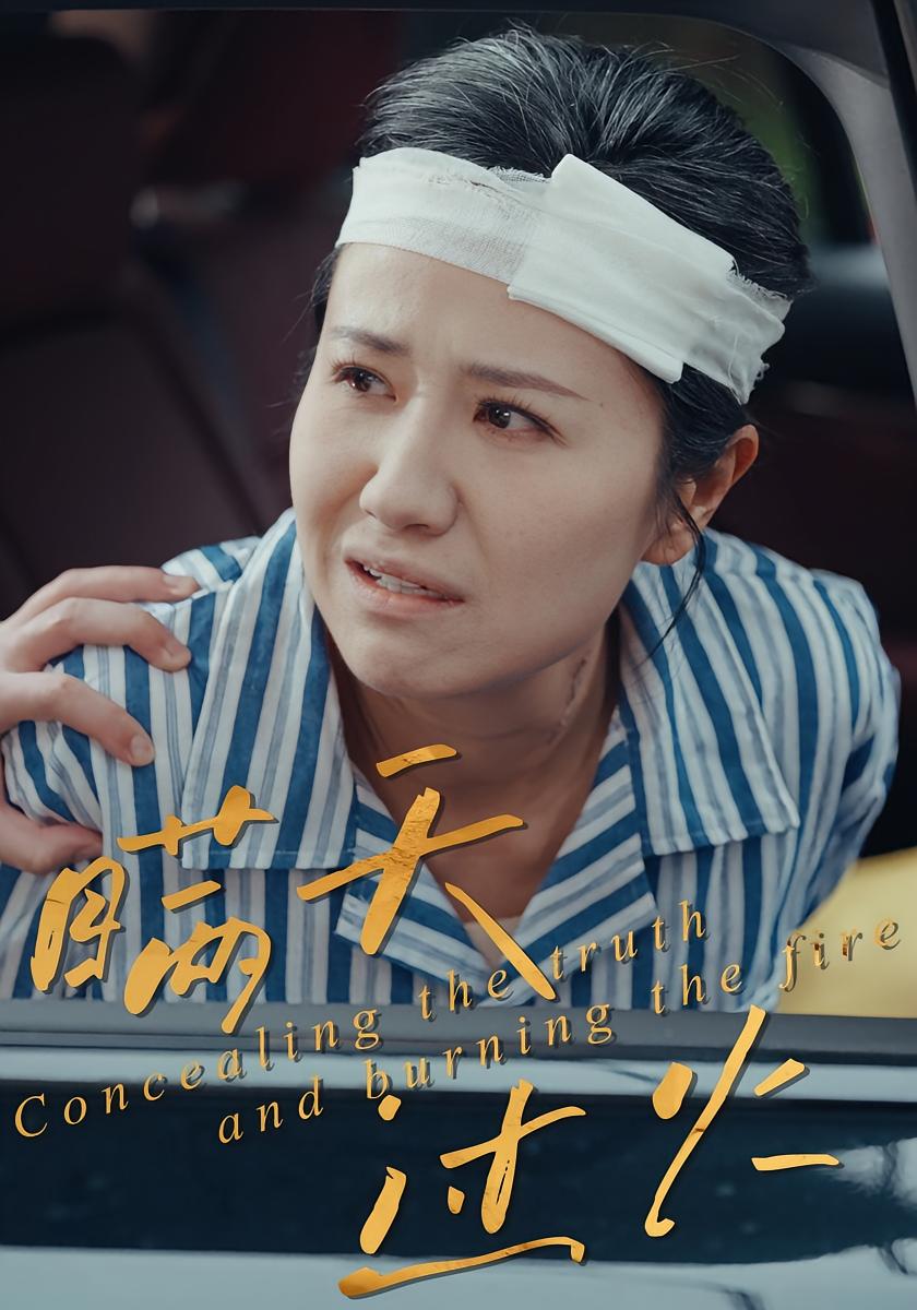 瞒天过火封面图