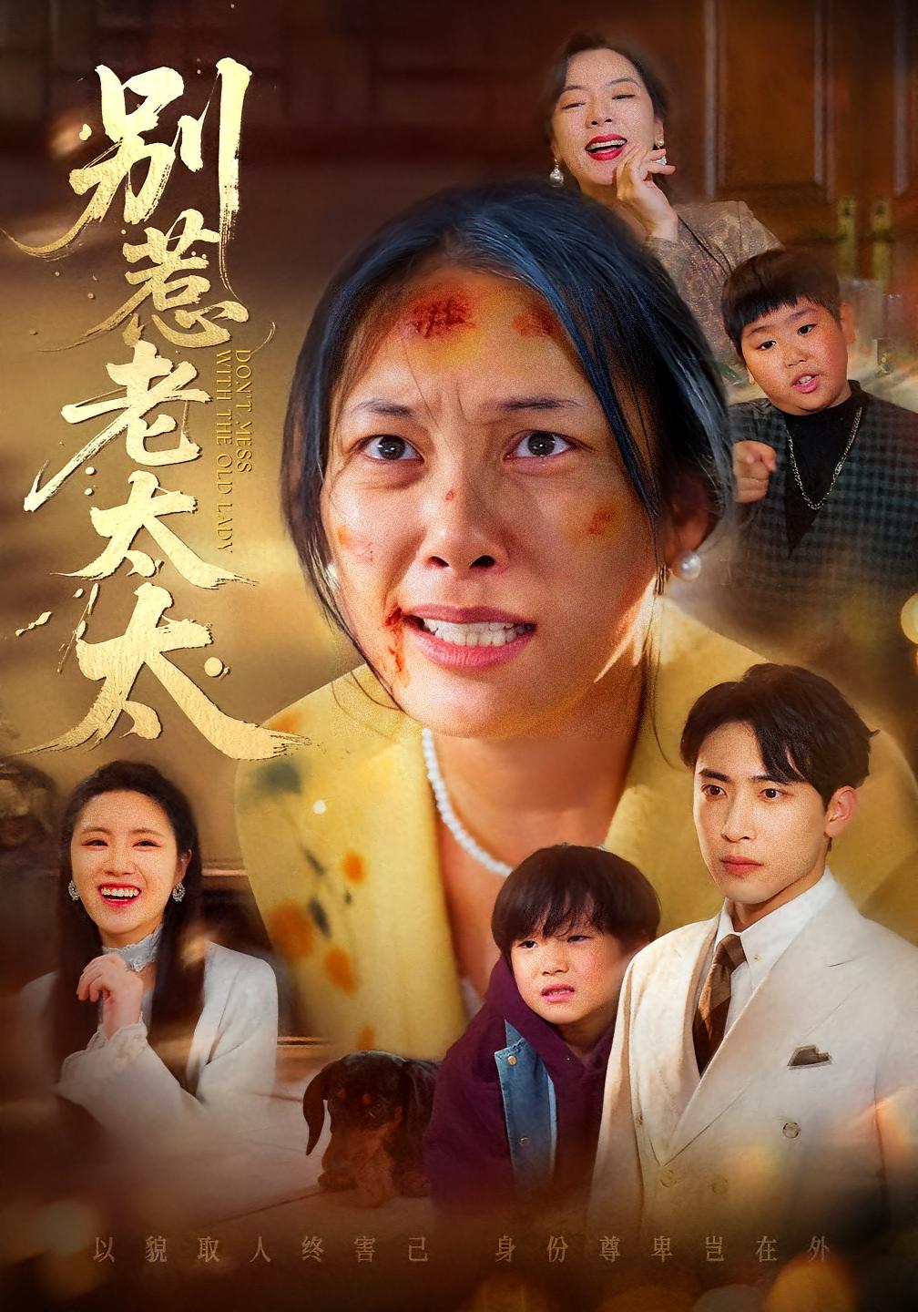 别惹老太太 都市日常·亲情·全68集 赵丹&陈柯宇