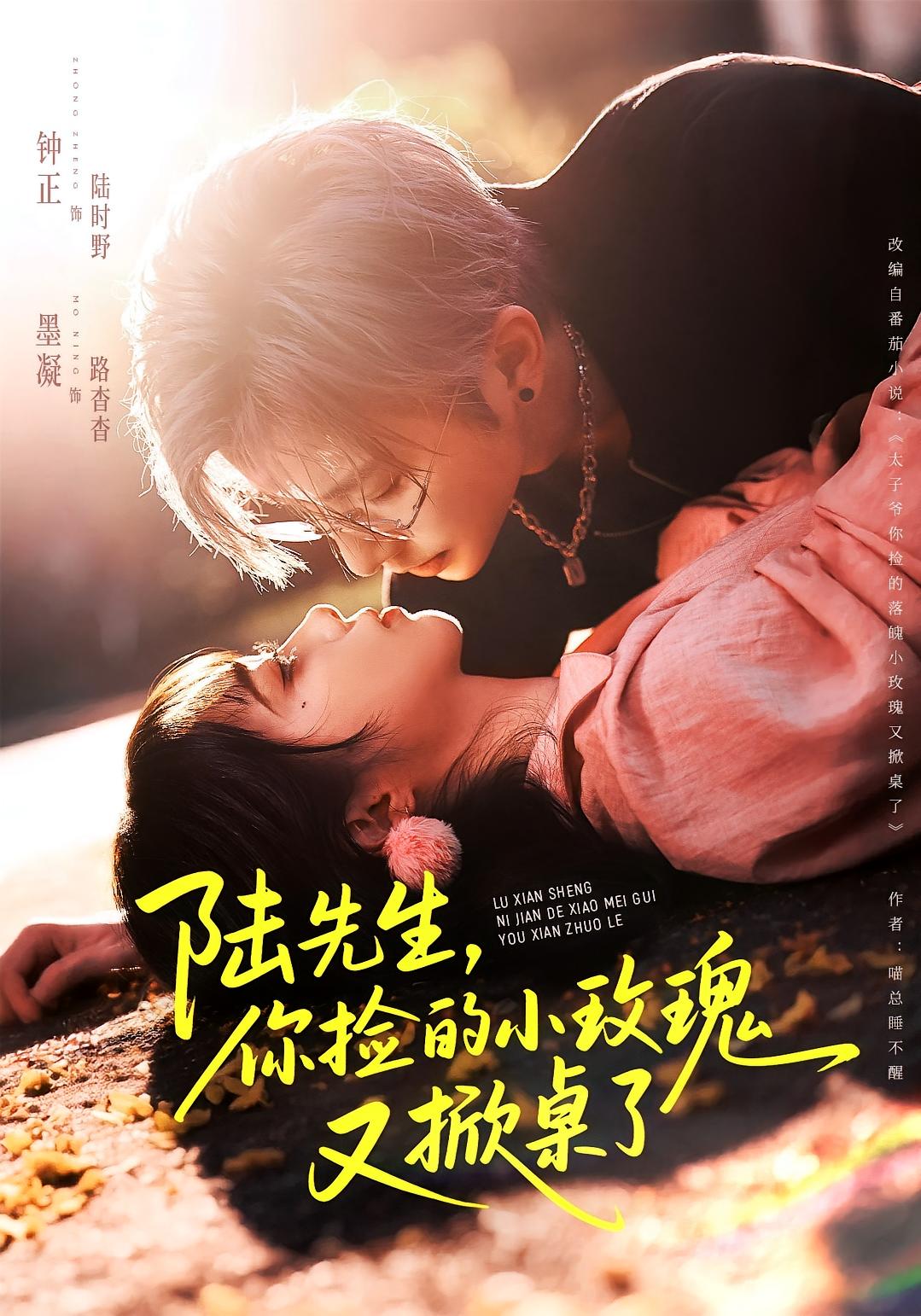 陆先生，你捡的小玫瑰又掀桌了 都市情感·腹黑·全74集 钟正&墨凝