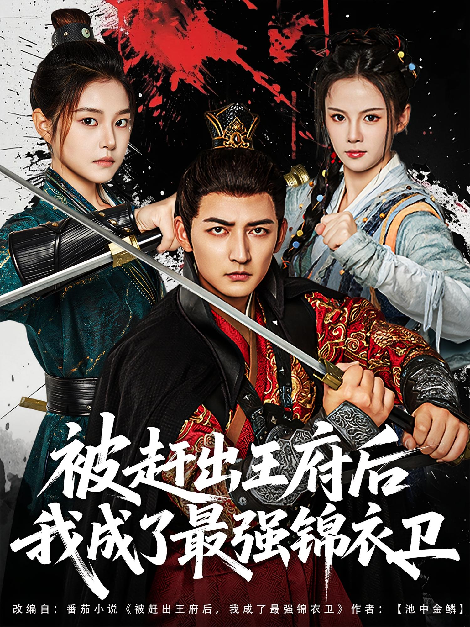 被赶出王府后我成了最强锦衣卫 玄幻仙侠·穿越·全80集 杜江山&岳春雨&高天