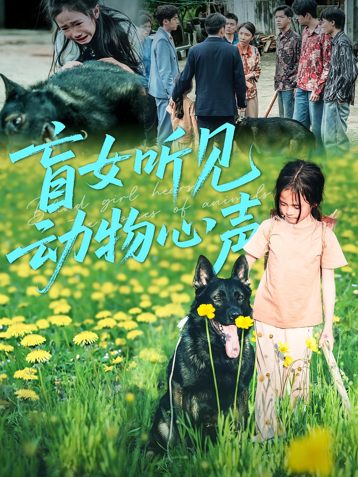 盲女听见动物心声 家庭伦理·奇幻脑洞·全61集 卫洛伊&岳子龙&苏和