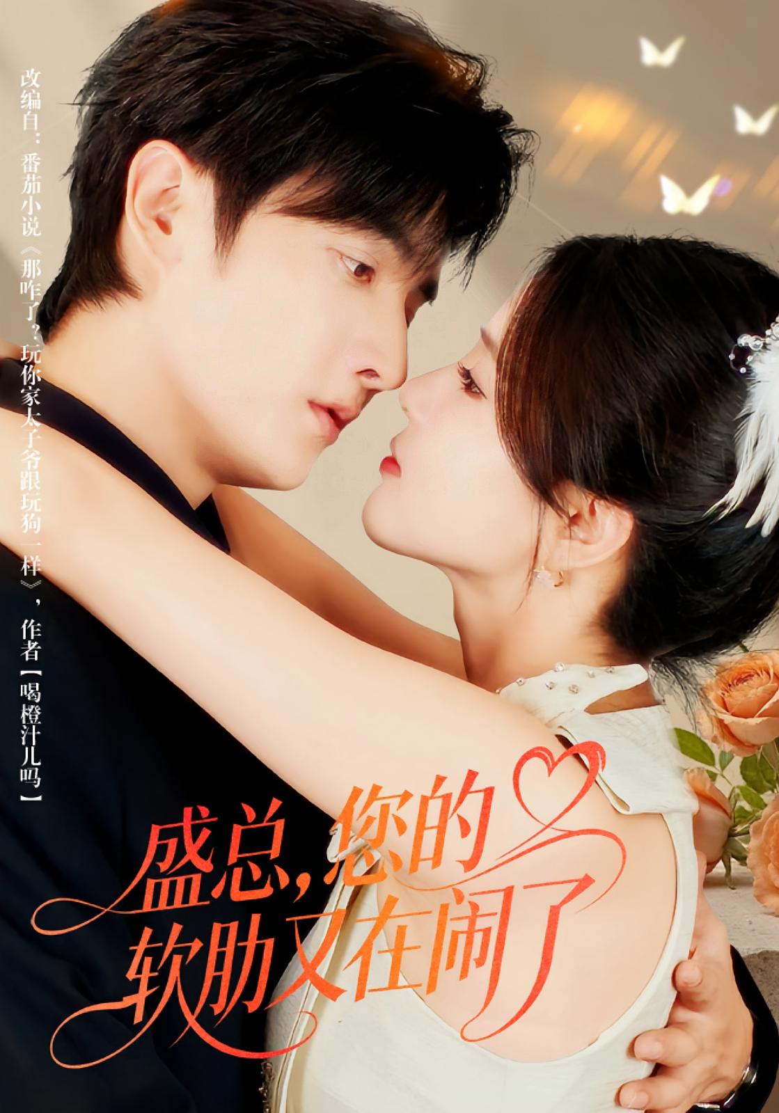 盛总，您的软肋又在闹了 都市情感·都市·全80集 林潇&张许焓