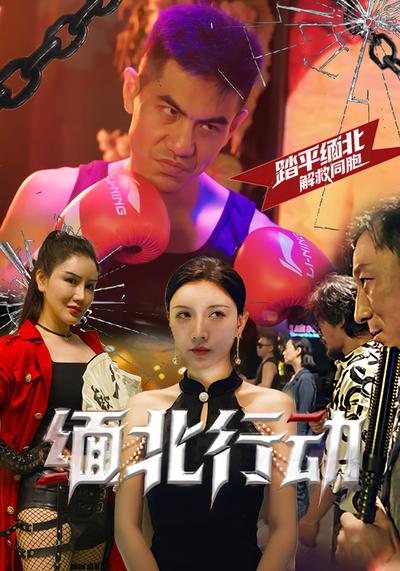 缅北行动封面图