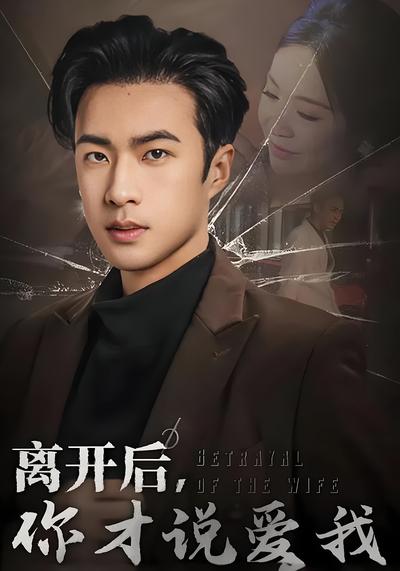 离开后你才说爱我