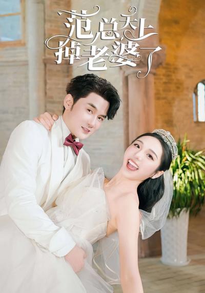 范总天上掉老婆了封面图