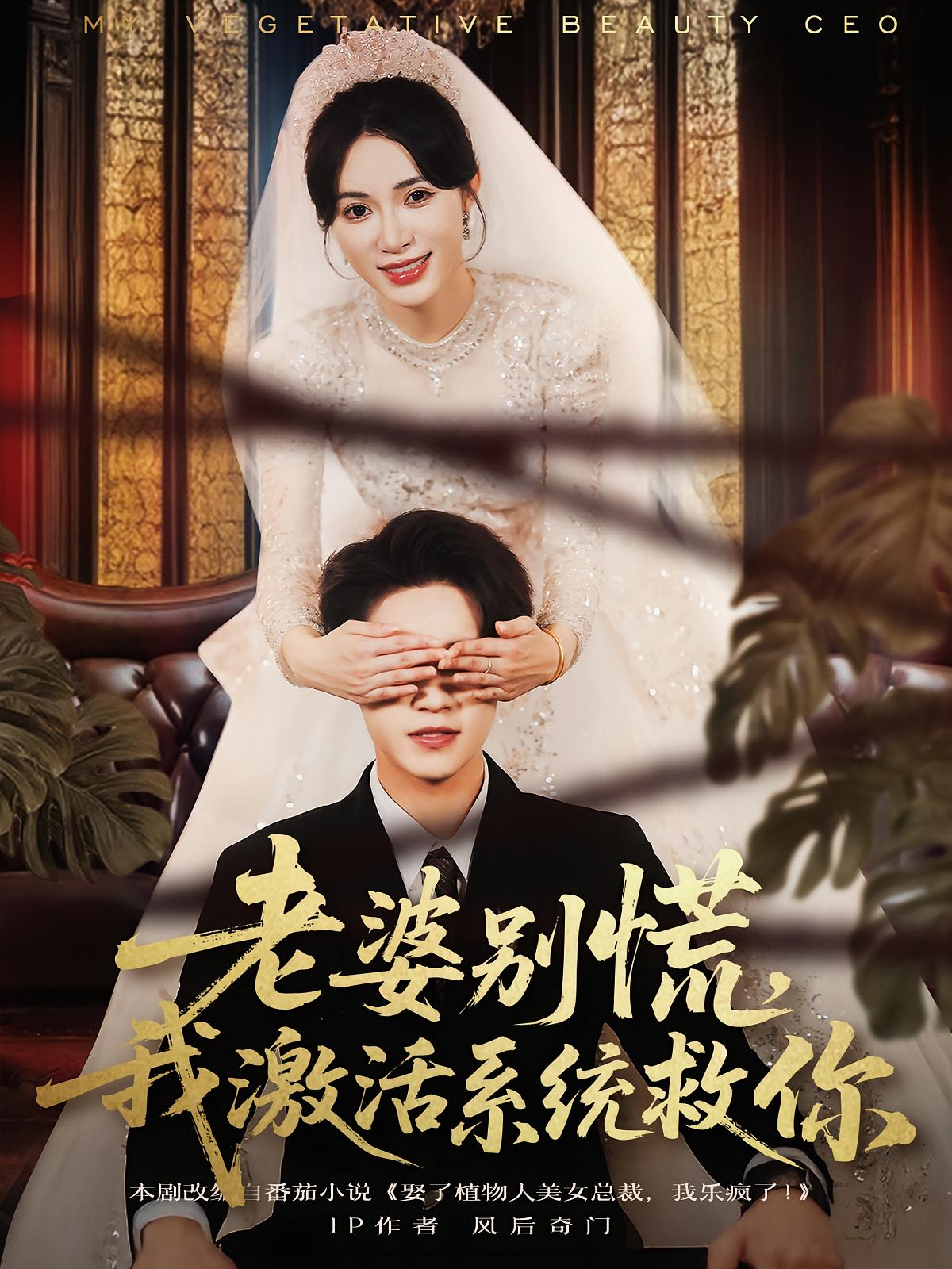 老婆别慌，我激活系统救你 都市脑洞·都市·全80集 王宣凯&孙航&柯珂