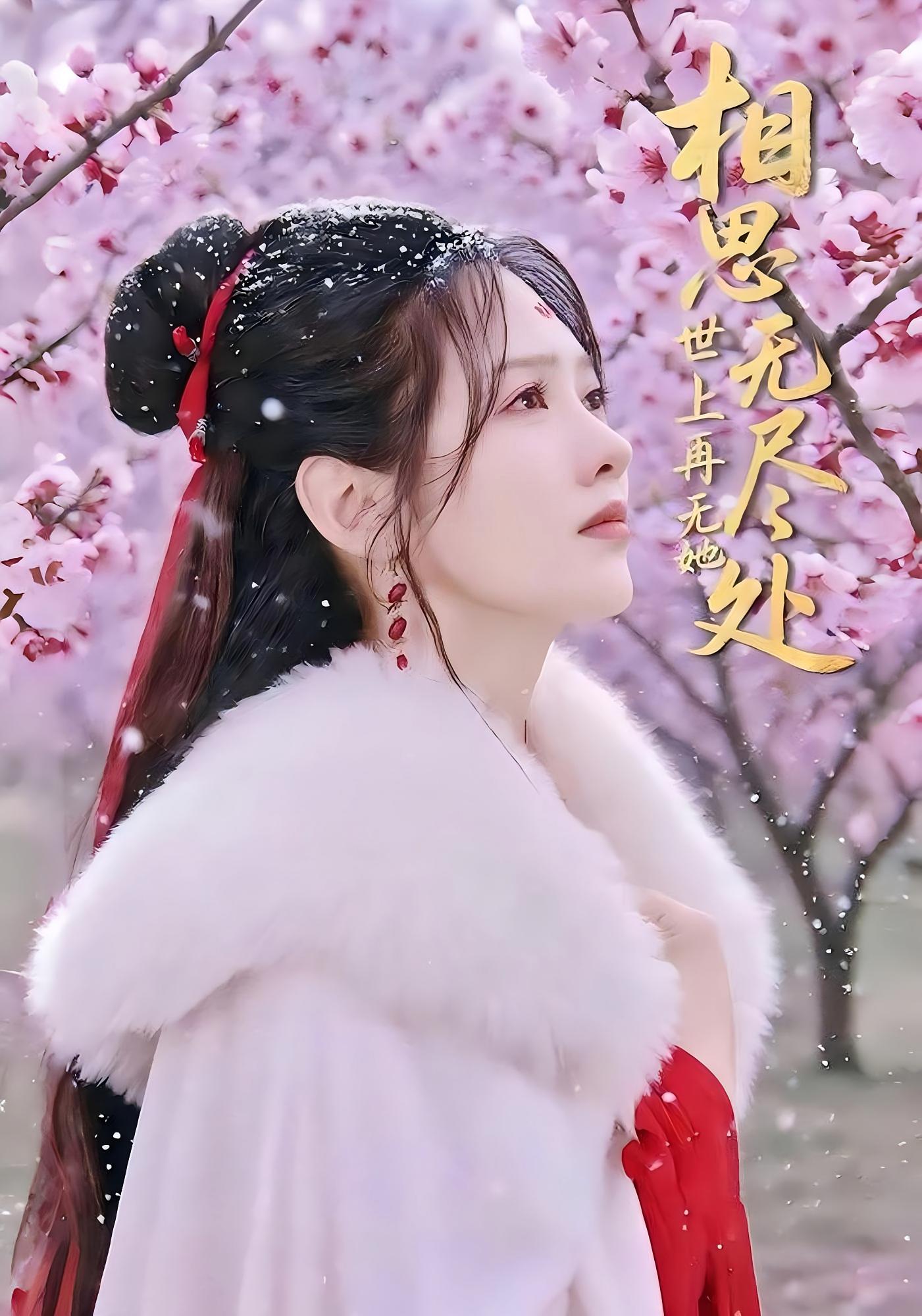 相思无尽处世上再无她 古风言情·虐恋·全80集 孔奇力&李媛菁&陆尔骑