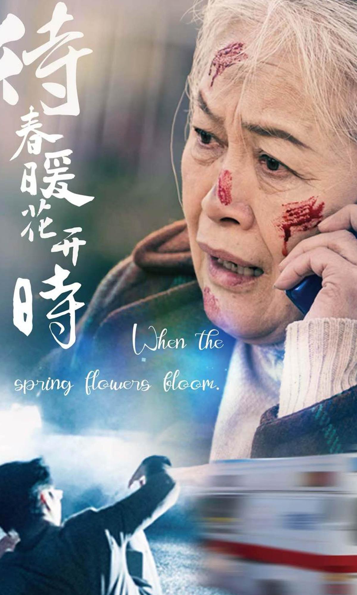 待春暖花开时封面图