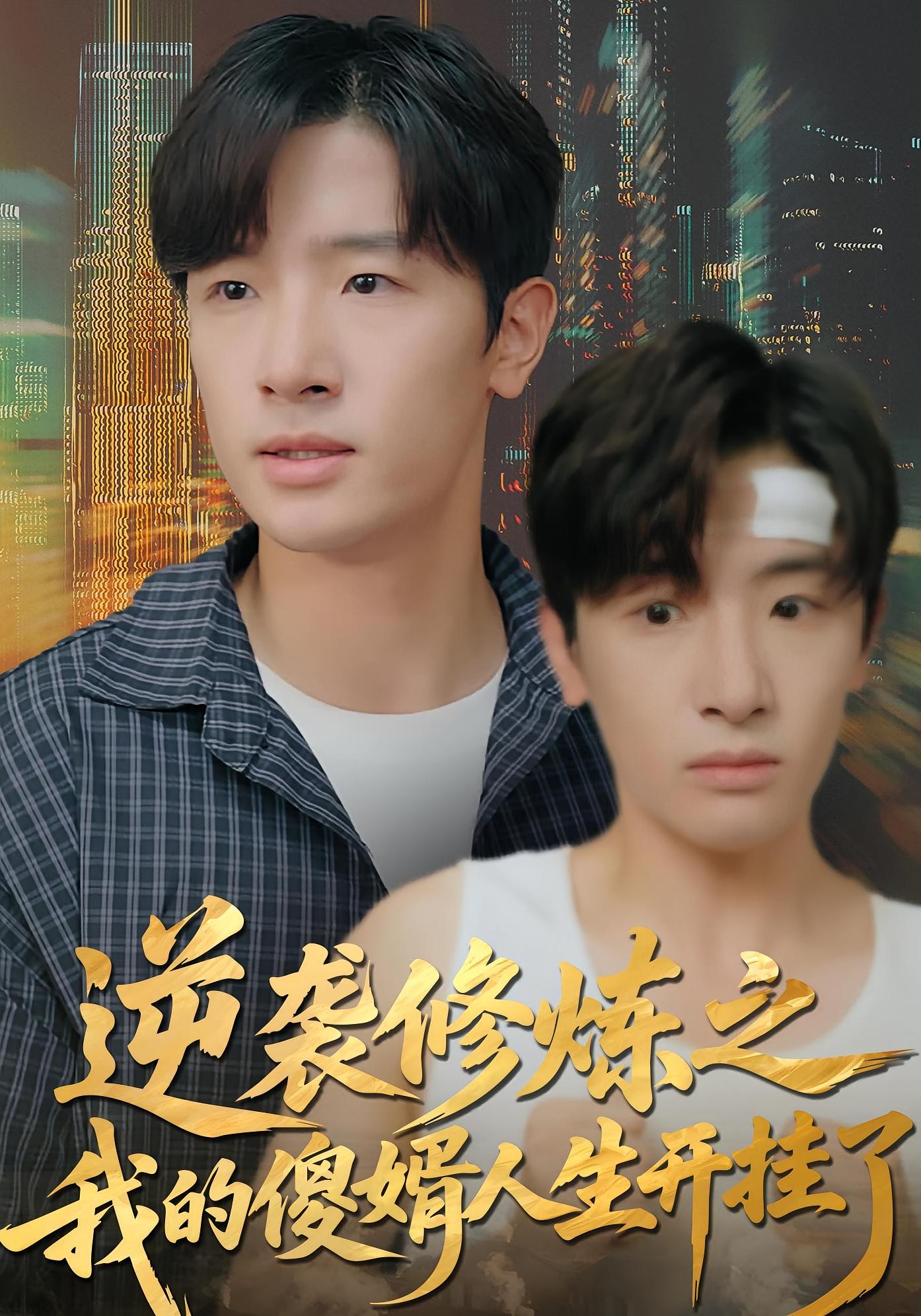 逆袭修炼之我的傻婿人生开挂了 赘婿逆袭·神医·全65集 陈梓龙&刘梦杰