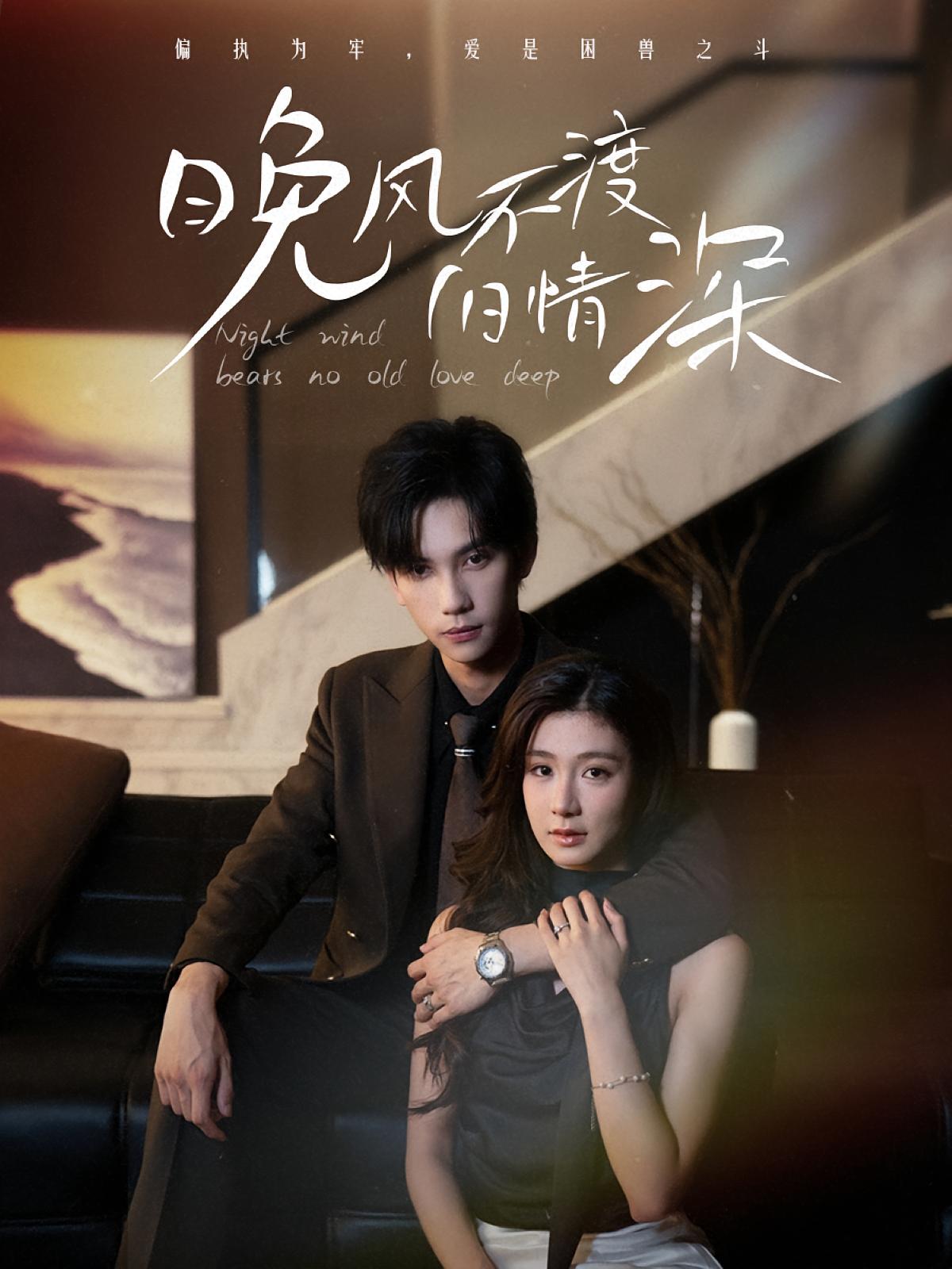 晚风不渡旧情深 都市情感·都市·全70集 马法洋&美美&袁千雪