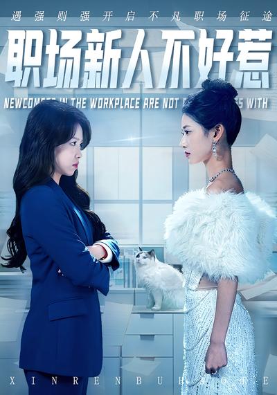 职场新人不好惹封面图