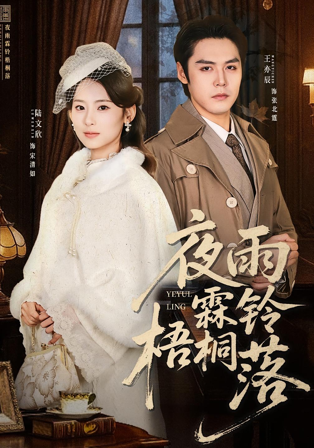 夜雨霖铃梧桐落 打脸虐渣·剧情·全51集 陆文欣&王亦宸&李家宝