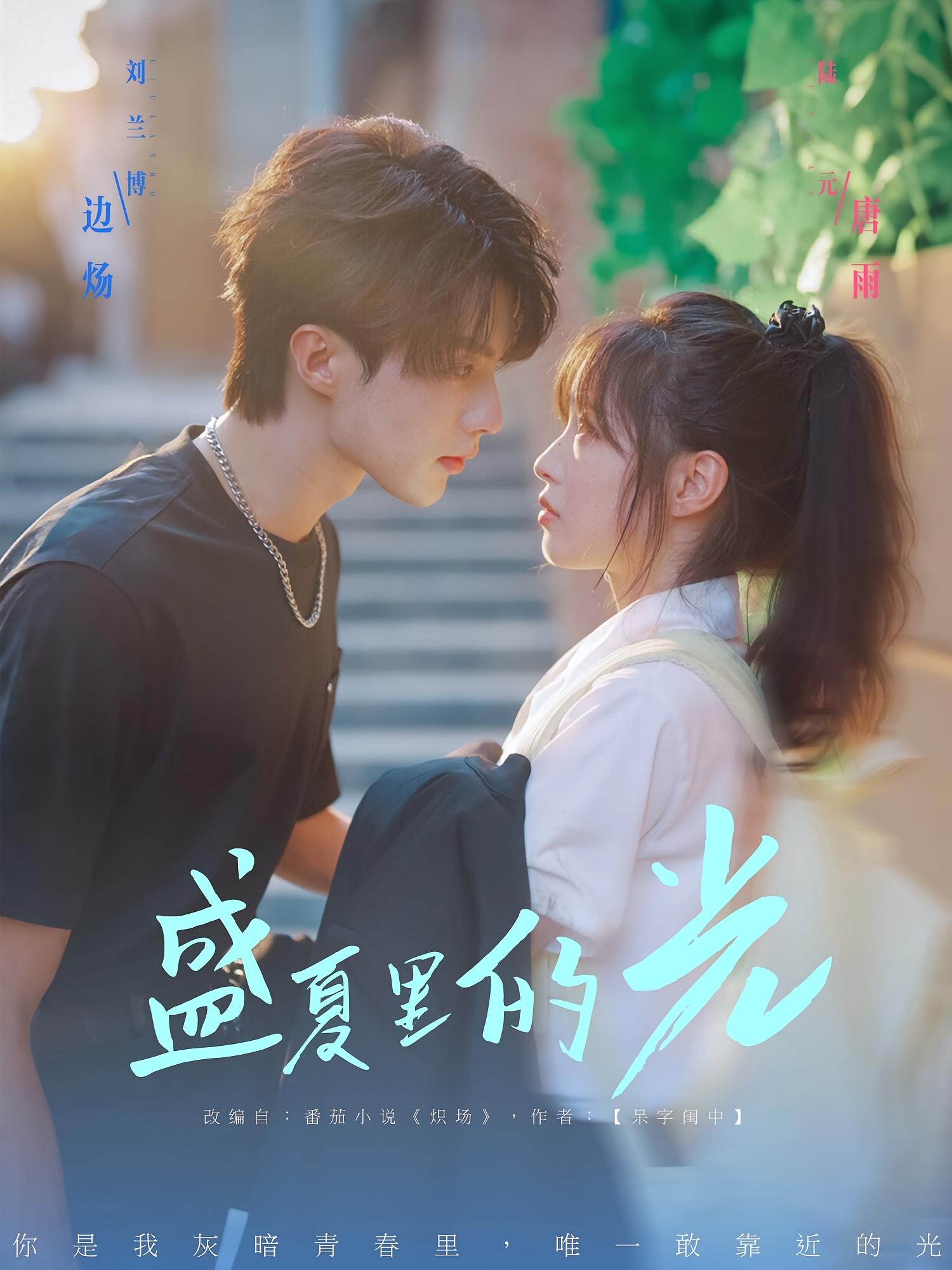 盛夏里的光 青春·女强·全69集 刘兰博&魏家乐&陆元