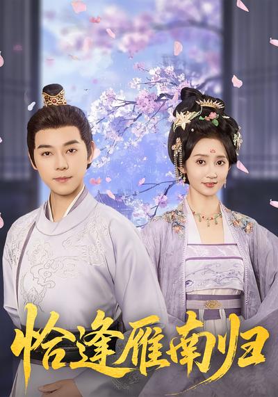恰逢雁南归封面图