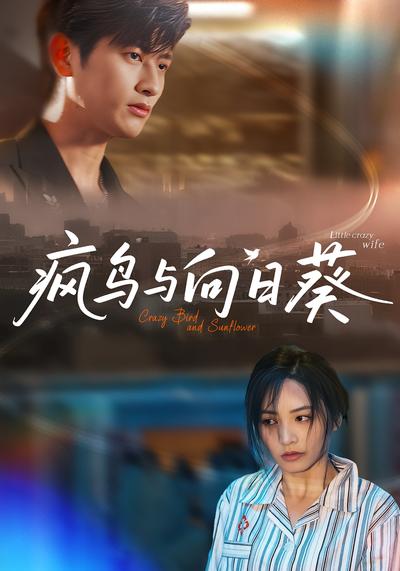 疯鸟与向日葵