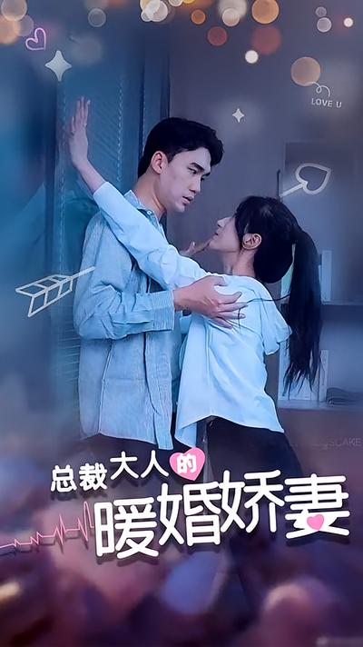 总裁大人的暖婚娇妻封面图