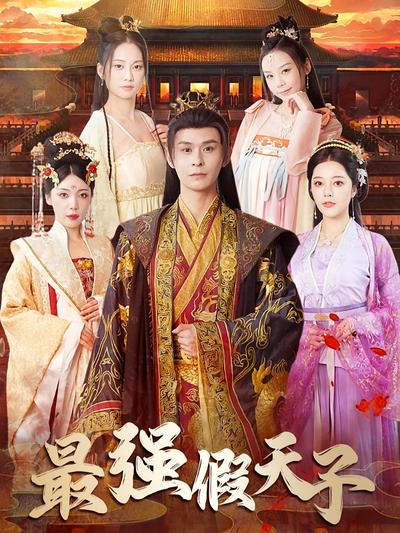 最强假天子封面图