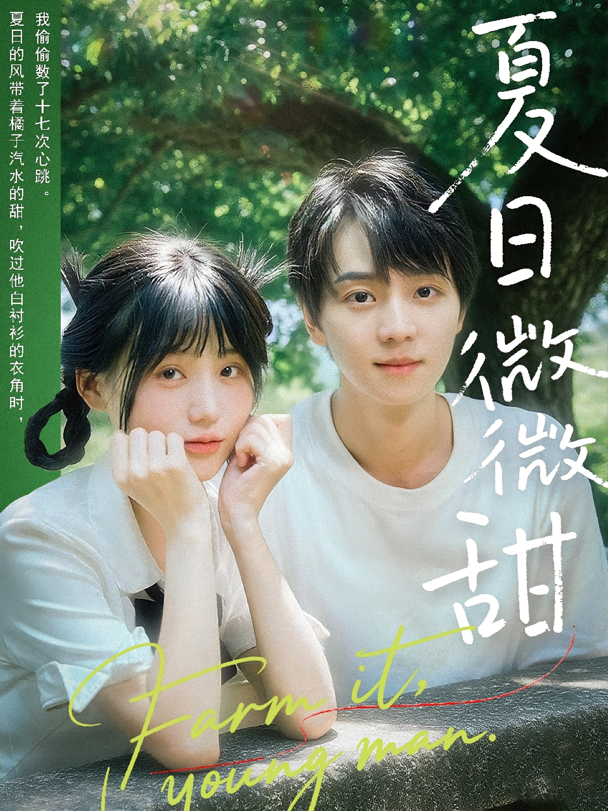 夏日微微甜 乡村爱情·日久生情·全79集 苏泽林&刘振威&张跃峰