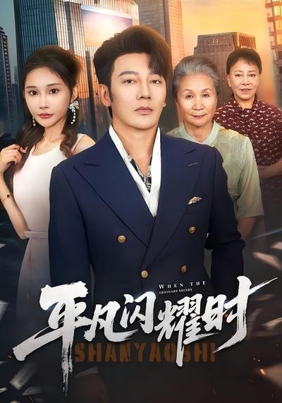 平凡闪耀时封面图
