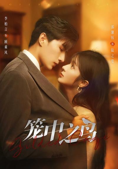 笼中之鸟封面图