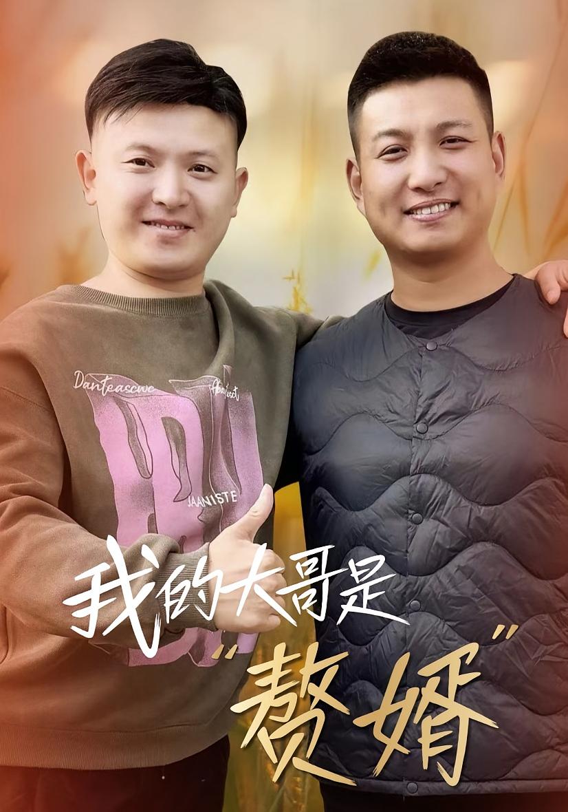 我的大哥是赘婿