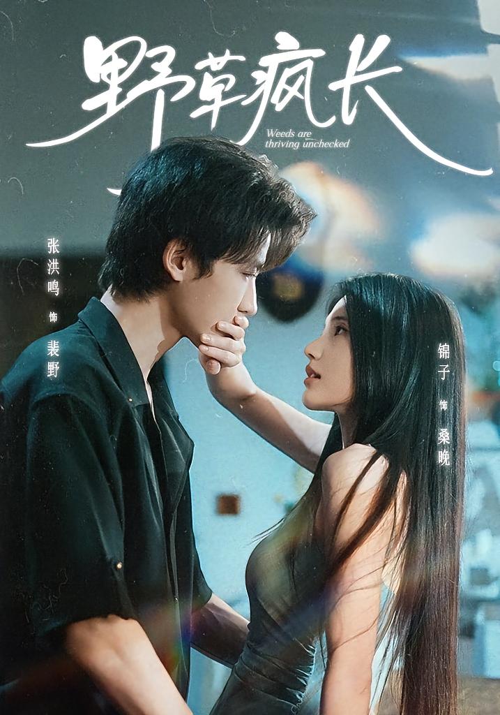 野草疯长 都市情感·都市·全71集 锦子&张洪鸣
