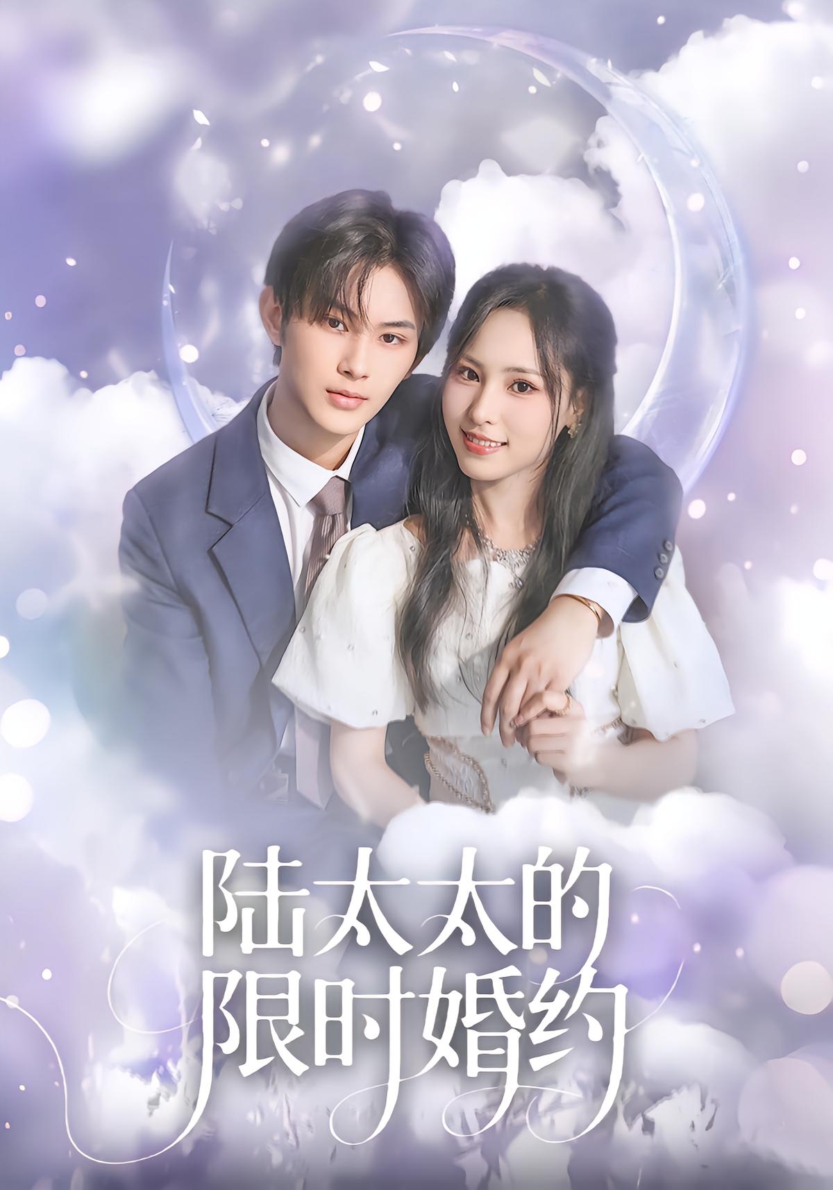 陆太太的限时婚约封面图
