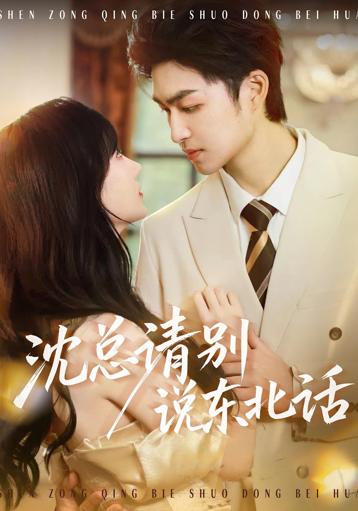 沈总请别说东北话 都市情感·都市·全52集 袁初年&袁可谦