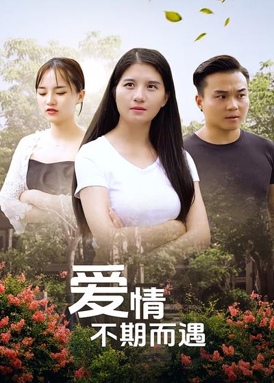 爱情不期而遇封面图
