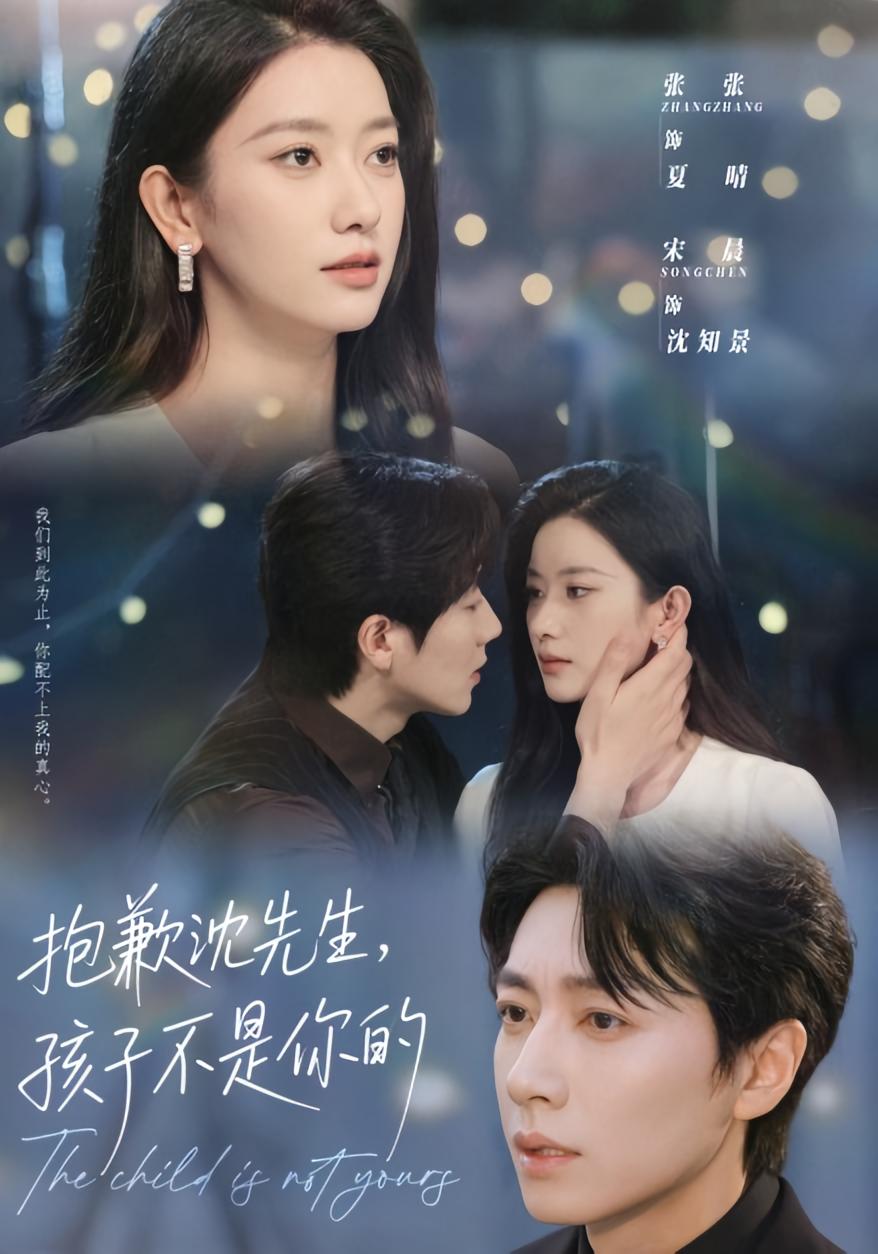 抱歉沈先生，孩子不是你的 都市情感·都市·全45集 宋晨&芊翊&张张