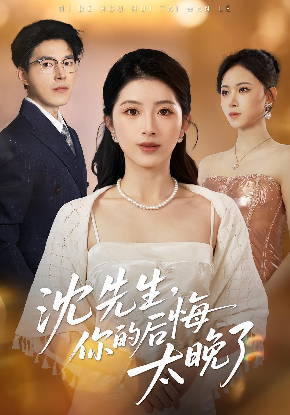 沈先生，你的后悔太晚了 女性成长·都市·全40集 肖琳&王慧珠&翟中星