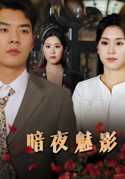 暗夜魅影封面图