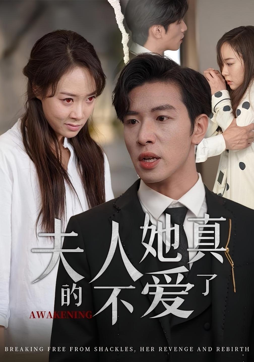 夫人她真的不爱了 都市情感·虐恋·全45集 杨文&李心玥&赵凯伦