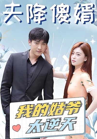 天降傻婿：我的姑爷太逆天