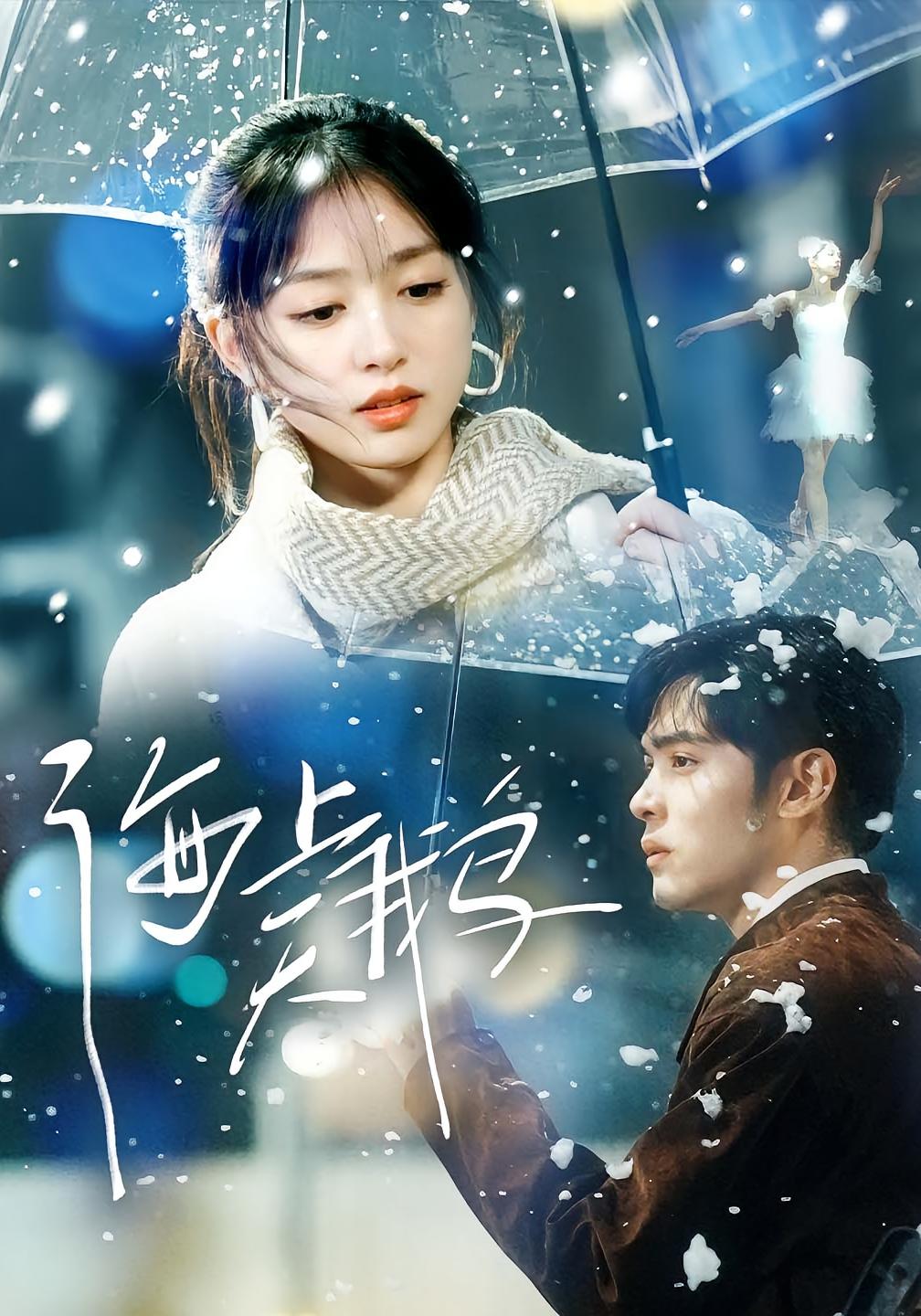 海上天鹅 都市情感·甜宠·全70集 唐幕佳&陆天玮&邢铷菲