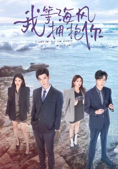 我等海风拥抱你封面图