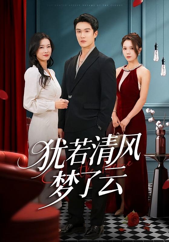 犹若清风梦了云 都市日常·逆袭·全66集 陈天晓&陈舒琪&王欣滢