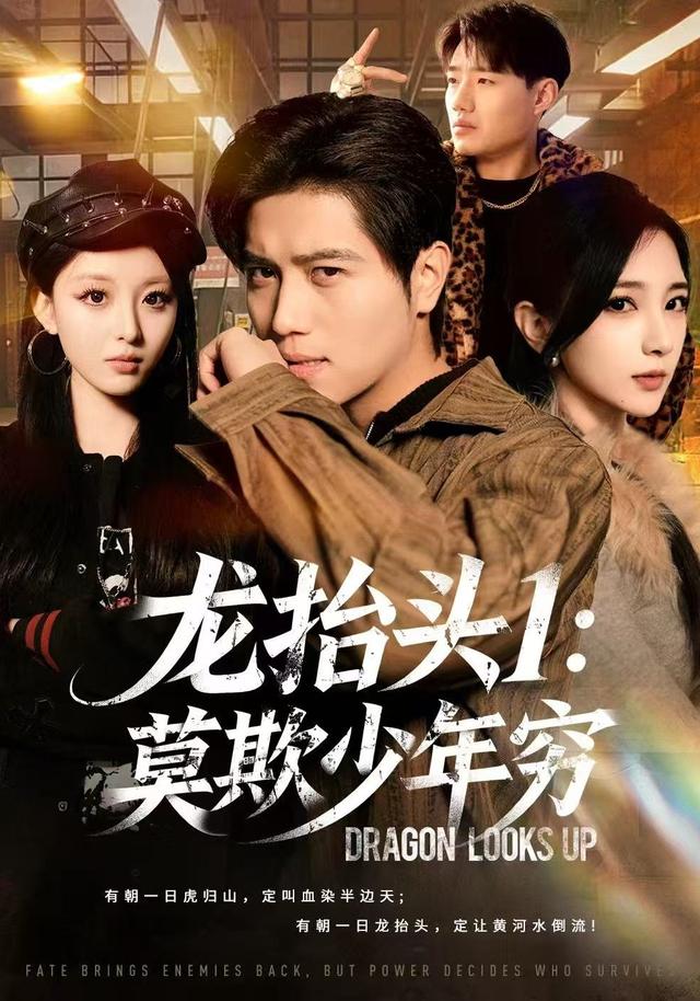 龙抬头1：莫欺少年穷封面图
